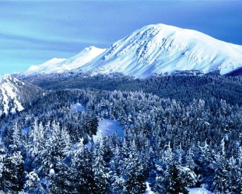 ilgaz-dagi-milli-parki-2
